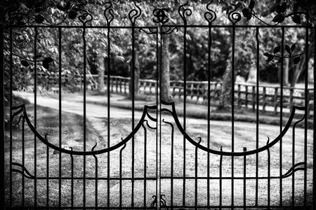 Iron railings ornament wrought iron