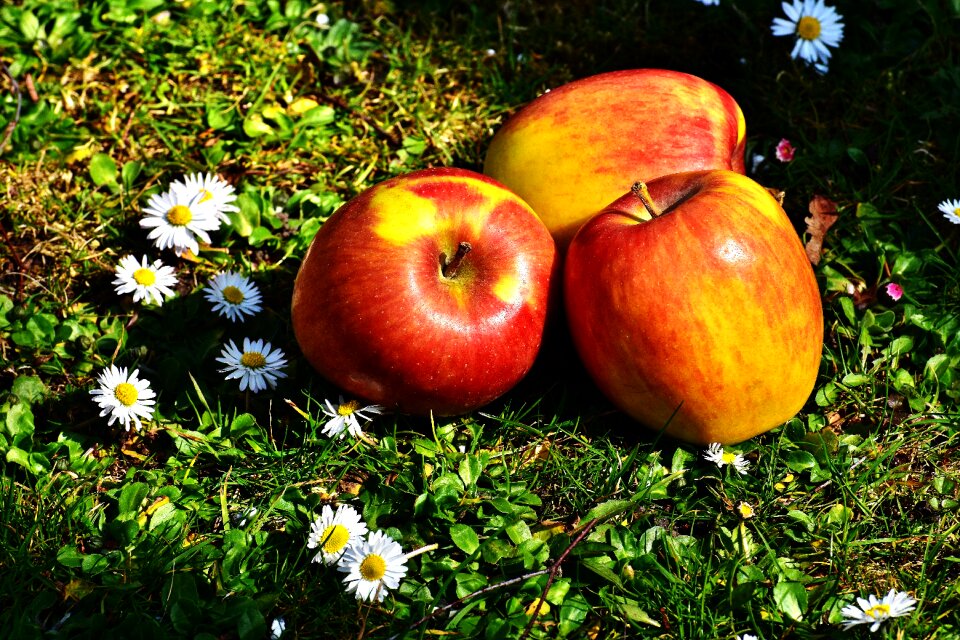 Healthy vitamins red