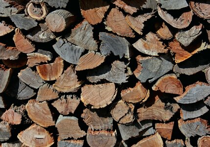 Chopped pile log photo