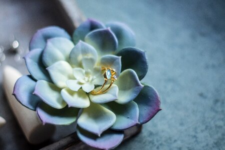 Silver finger ring stand