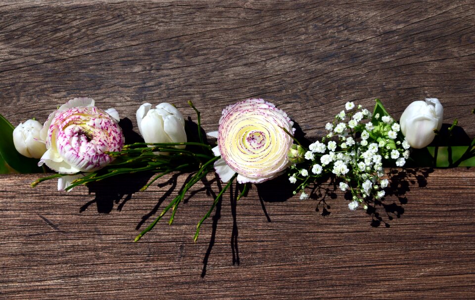 Tulips ranunculus white photo