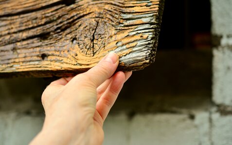 Wood wood plank thumb