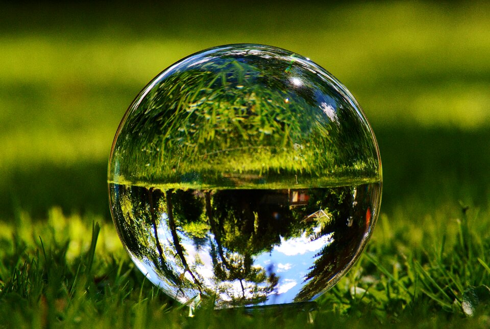 Garden grass reflection