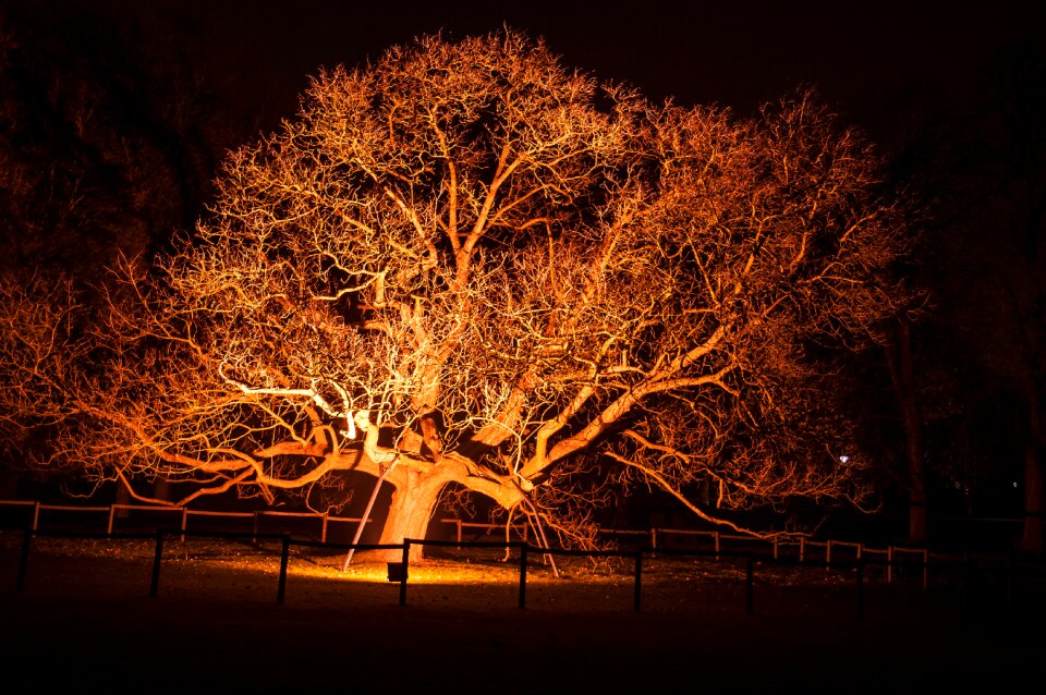 Lighting atmospheric mystical
