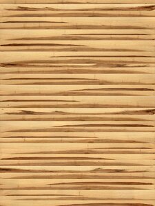 Wood mapple texture