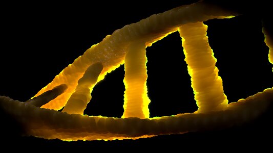 Genetic material double helix molecule photo