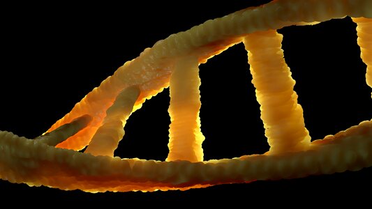 Genetic material double helix molecule