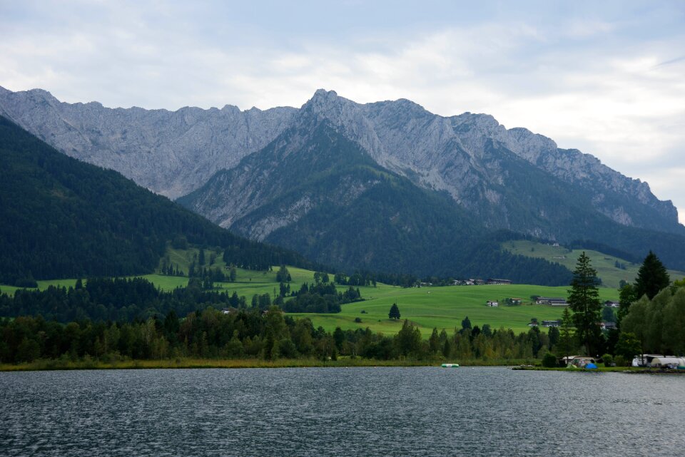 Forest austria nature