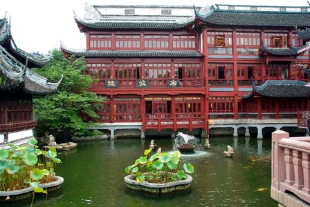 Tradition garden aquatic