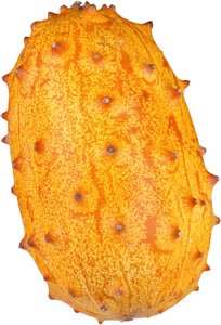 Kiwano fruit blowfish fruit exotic fruit photo