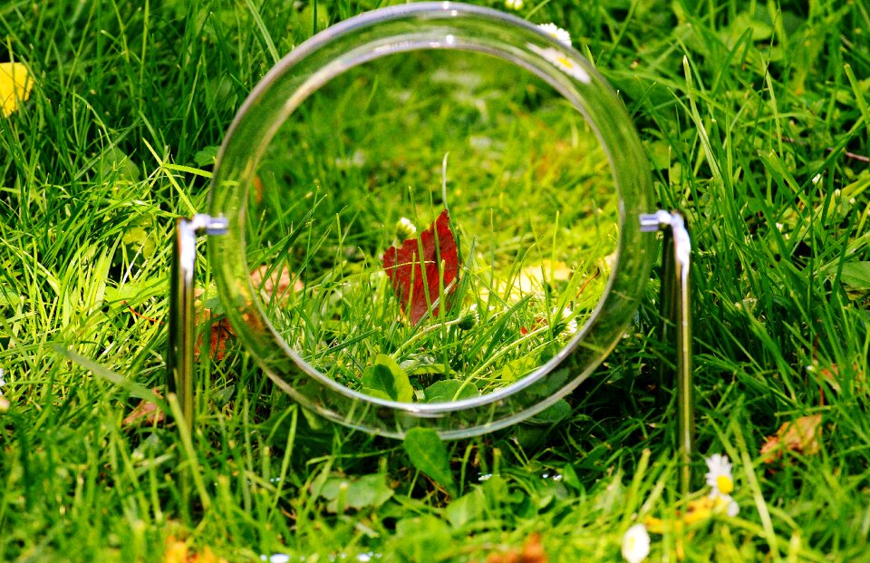 Mirroring cute funny