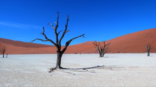 Clay pot desert arid photo