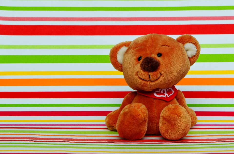 Funny teddy affection
