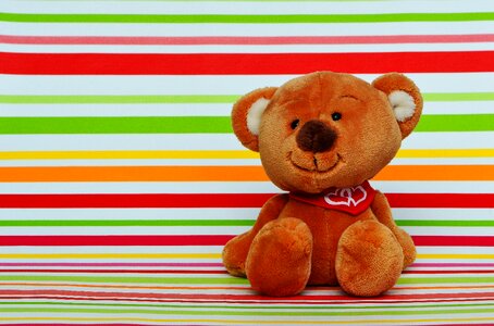 Funny teddy affection