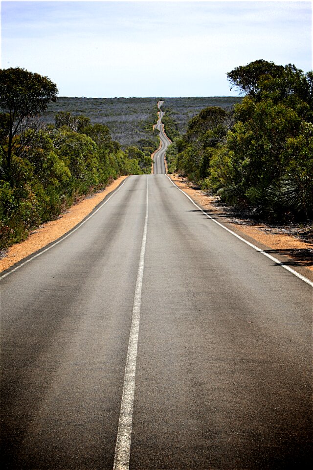 Horizon landscape tree-lined