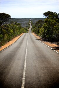 Horizon landscape tree-lined