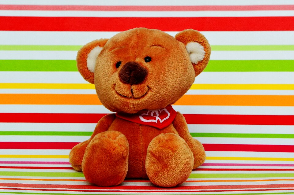 Funny teddy affection