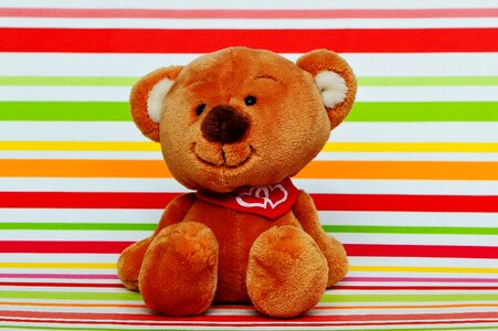 Funny teddy affection