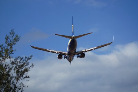 Of great canary islands