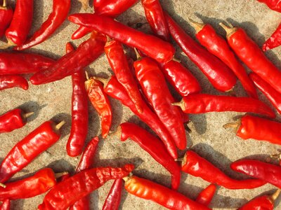 Vegetables spicy chili photo