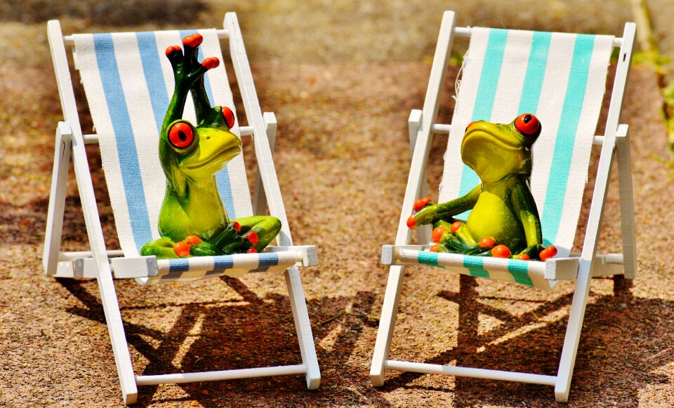 Frogs figures summer