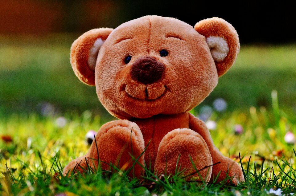Stuffed animal teddy bear brown bear