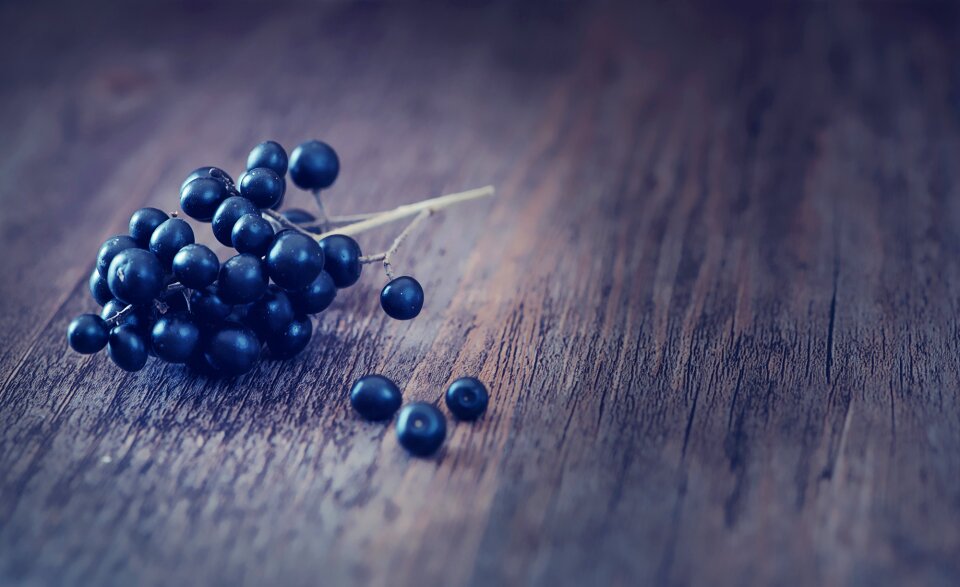 Privet-berries wood close up