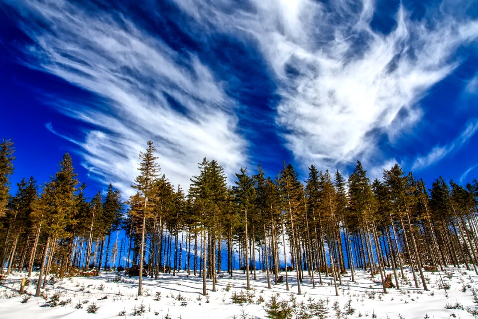 Sky clouds winter