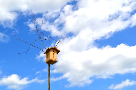 Birdhouse sky clouds