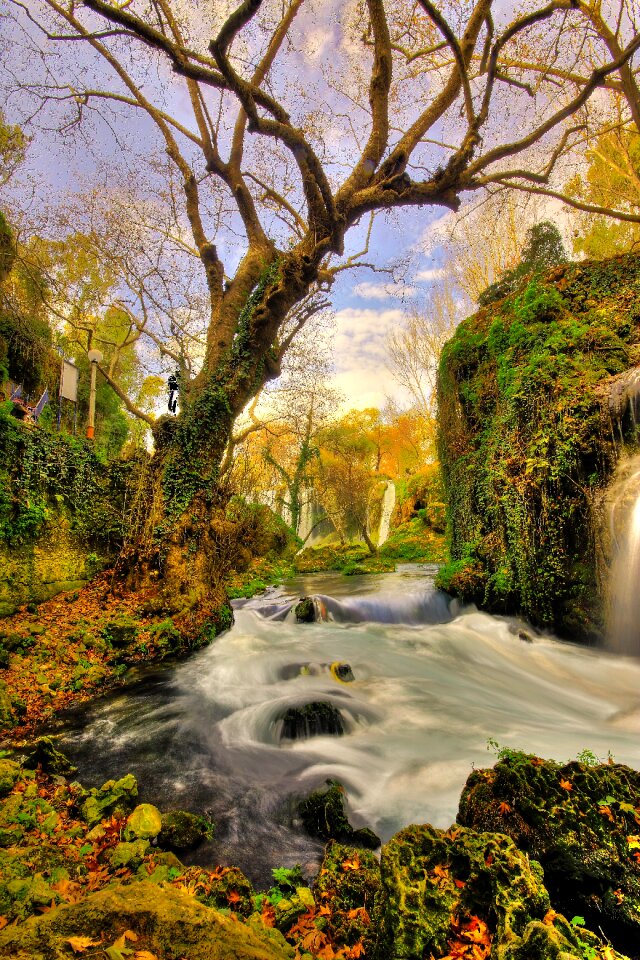 Nature water green