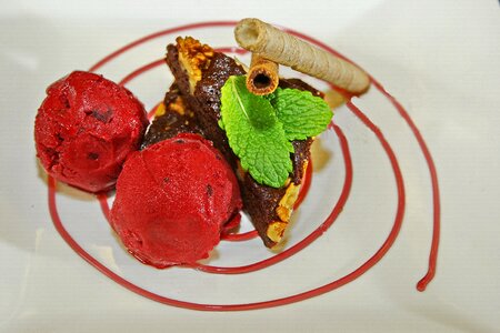 Spearmint chocolate cake food