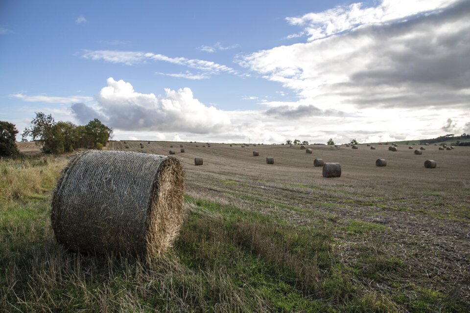 Hay pack rolls