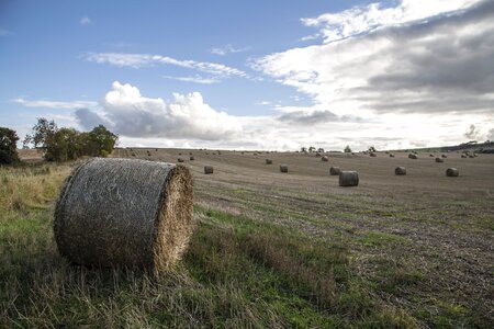 Hay pack rolls