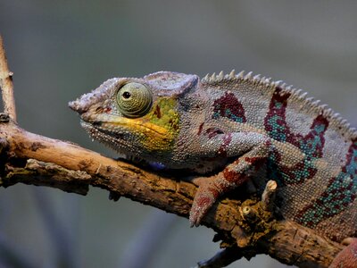 Nature zoo leipzig