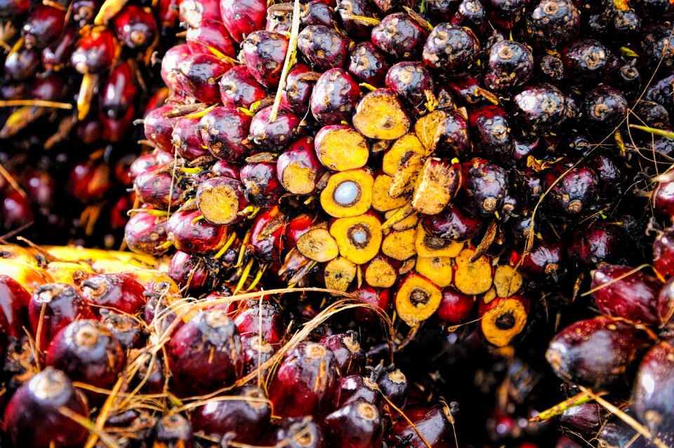 Background ripe red