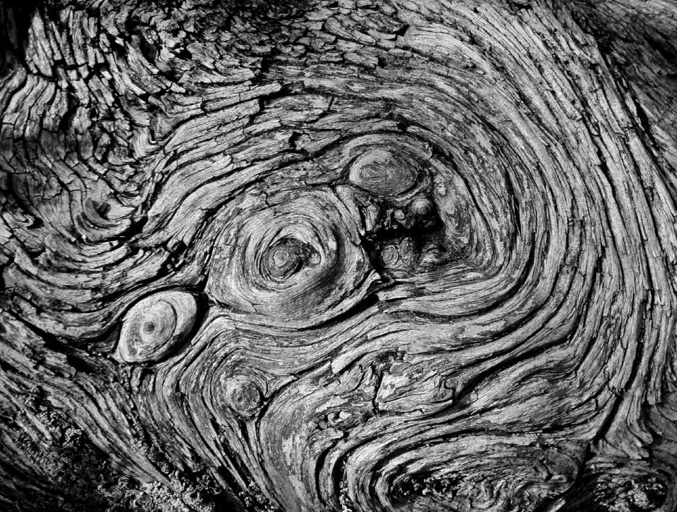 Texture nature design