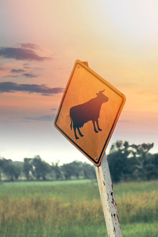 Signpost sign symbol