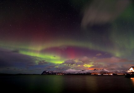 Borealis green winter