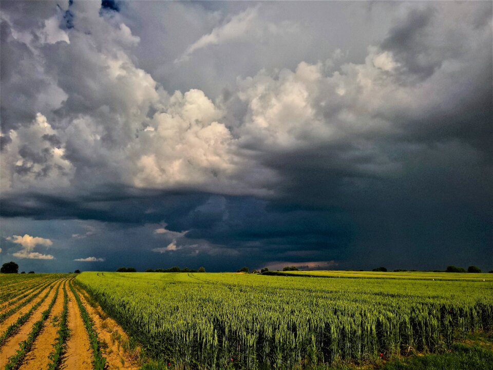 Weather before storm summertime