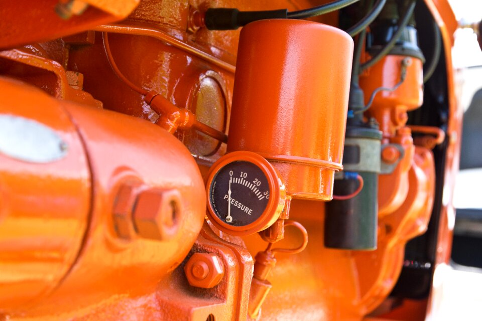 Farming orange allis