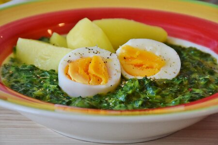 Eat food vegetarian