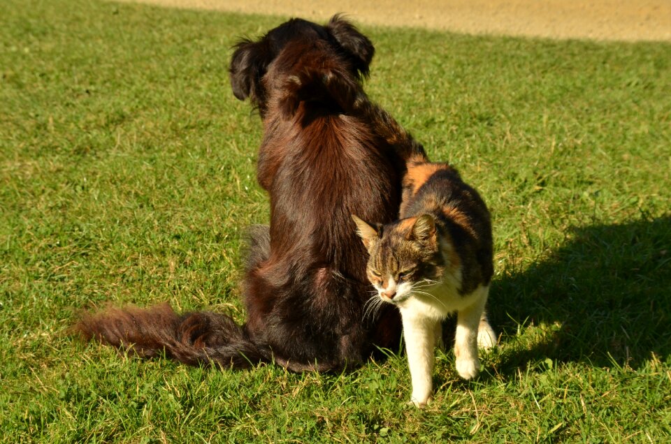 A friend together friendship