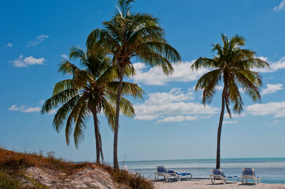 Sea beach coast