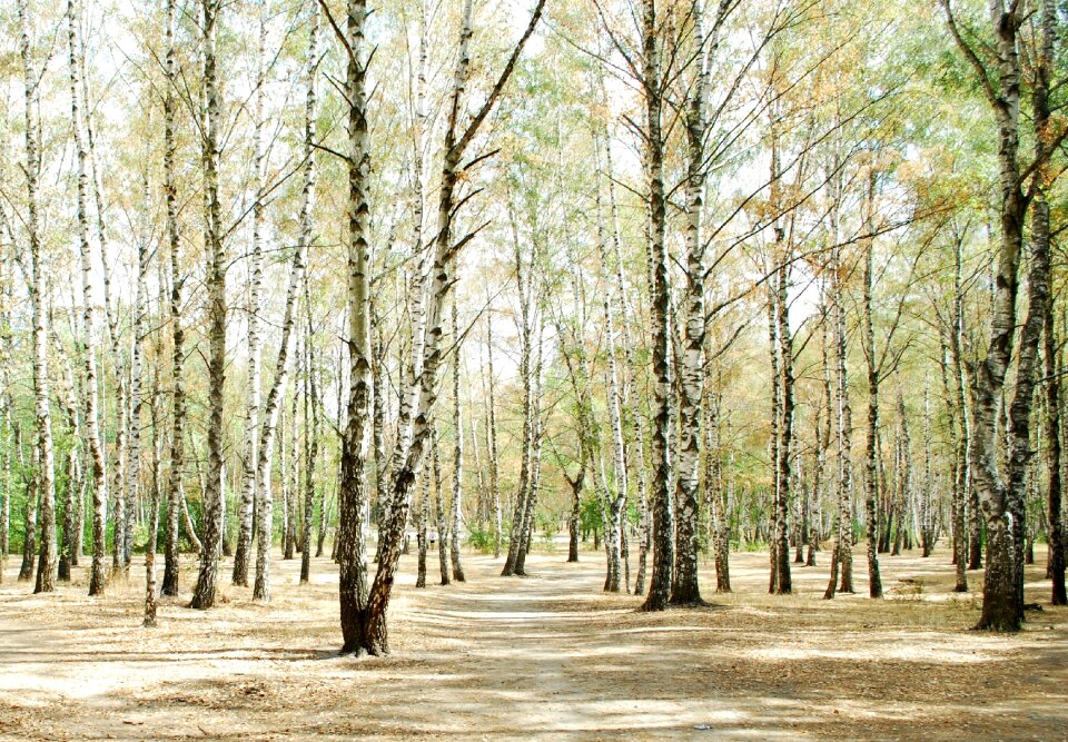 Russia nature vacation