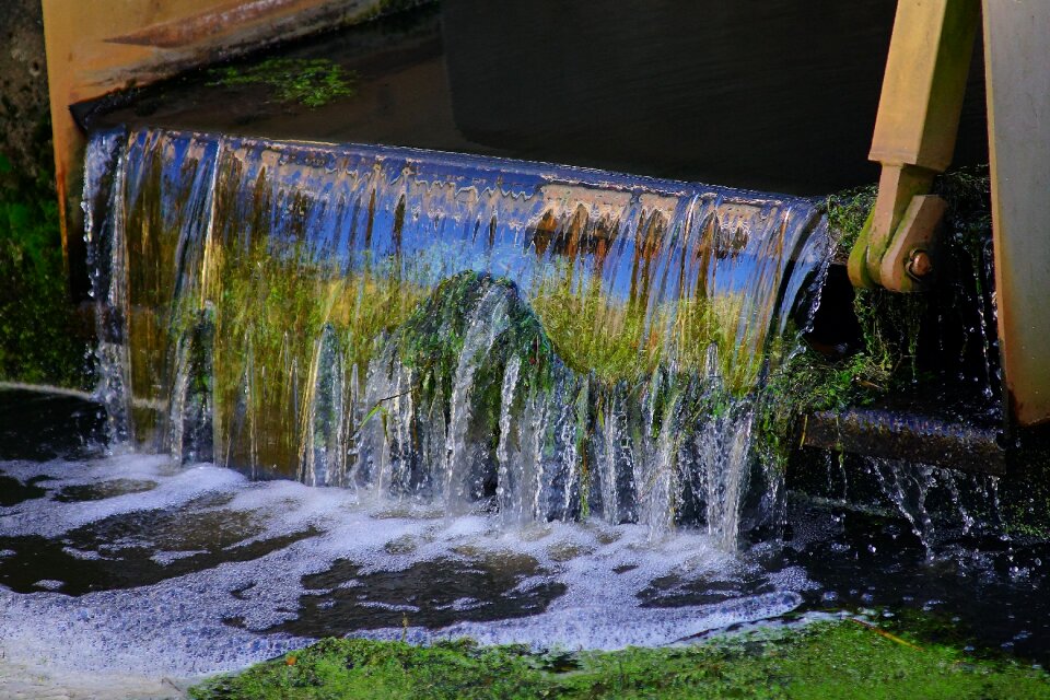 Bach running water green