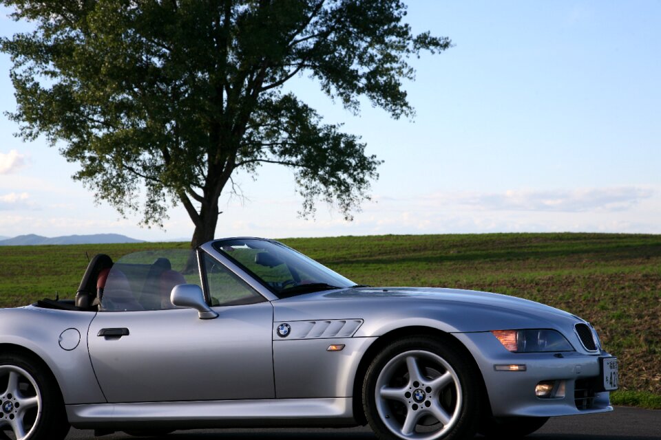 Bmw hokkaido the philosophy of trees