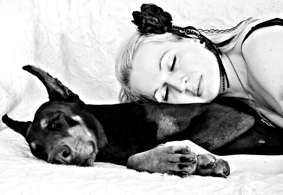 Doberman sleep love