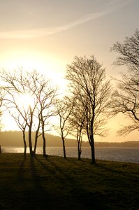 Sky sunset trees photo