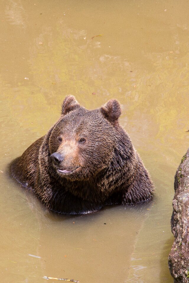 Nature park wild animal refreshment