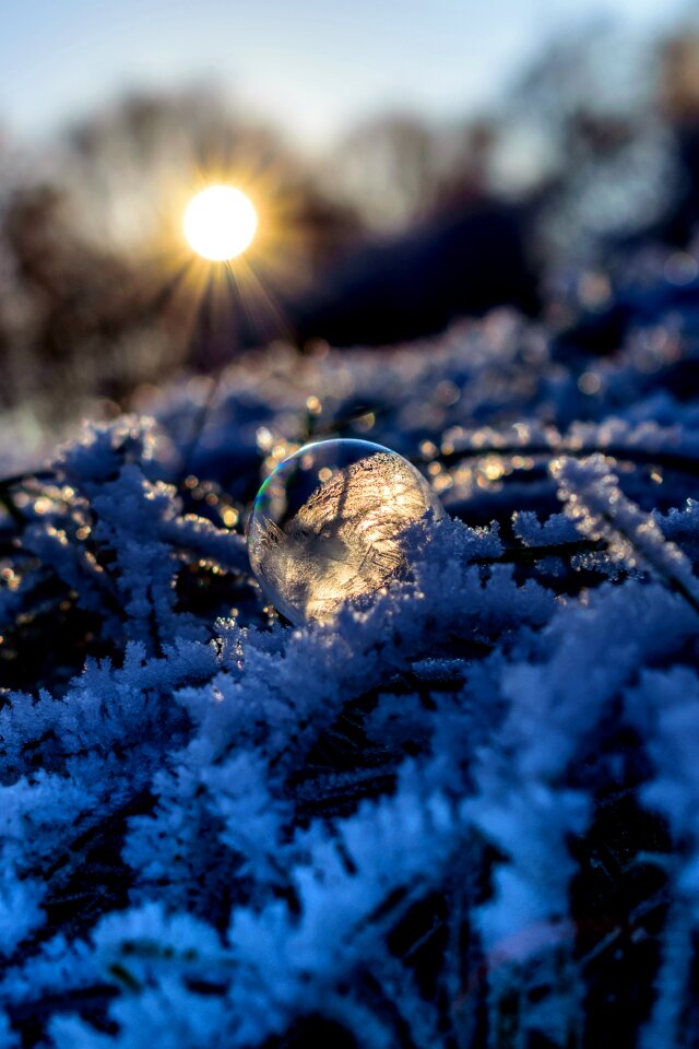 Cold hoarfrost frozen bubble